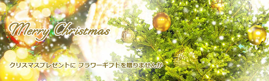 クリスマスプレゼントにフラワーギフトを贈りませんか